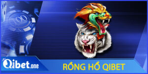 Rồng hổ Qibet